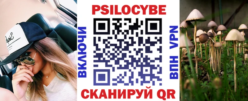 Псилоцибиновые грибы прущие грибы  Сураж 