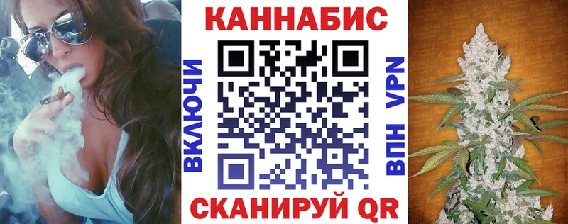 Шишки марихуана OG Kush  продажа наркотиков  Сураж 